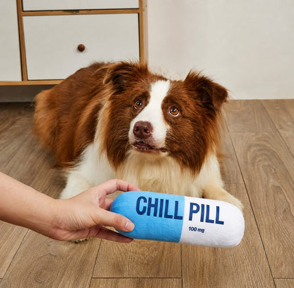 GroomVault™ Chill Pill Crinkle Toy