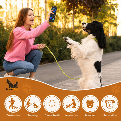 GroomVault™ Remote Chew Toy